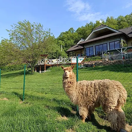 Apartman Bernie's 아파트 Hrusov